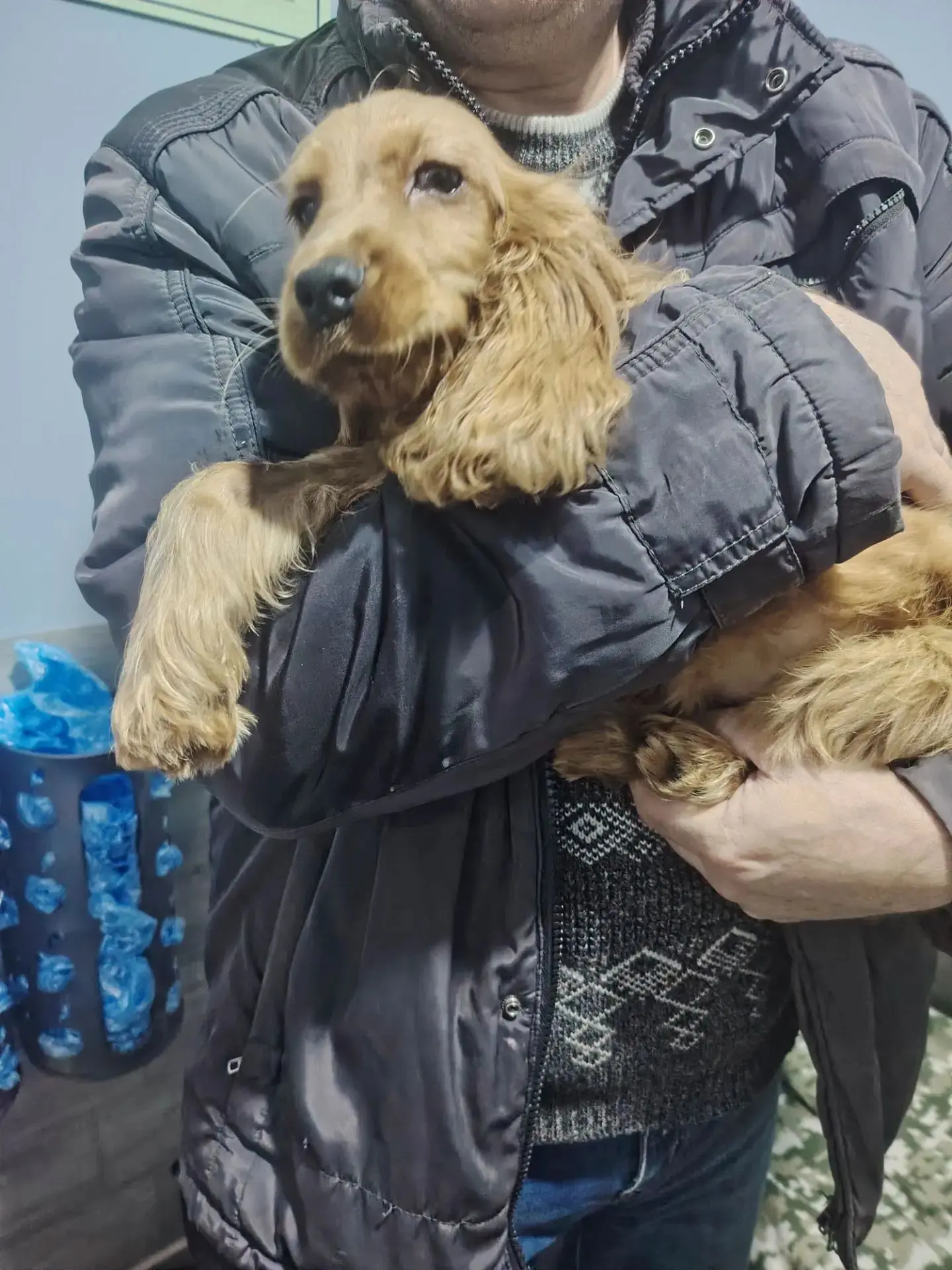 🆘🐾 ДРУЗЬЯ, НУЖНА ВАША ПОМОЩЬ! 🐾🆘