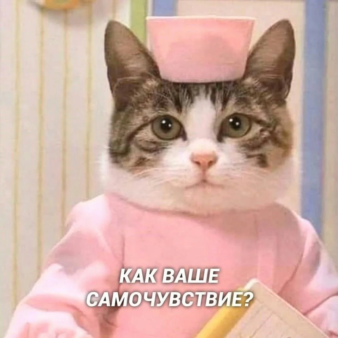 🤧 Россияне в конце сентября стали жаловаться на странный вирус, атаковавший их этой ос...