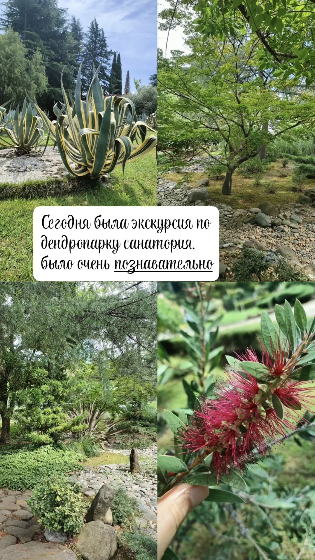 Ваши атмосферные кадры с отдыха в санатории 📸