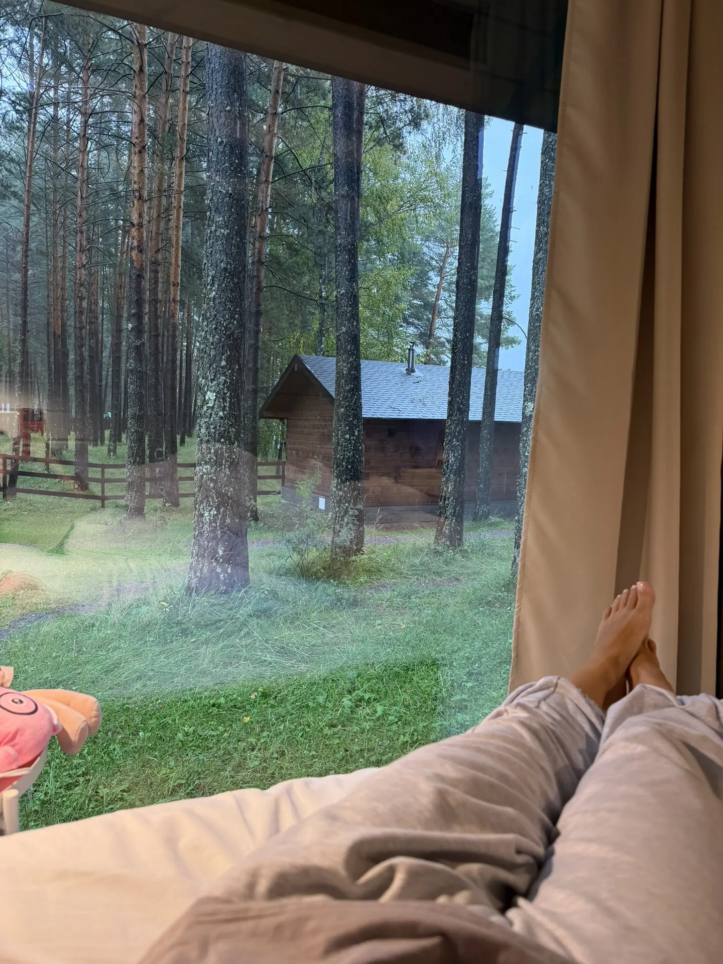 Дождь ☔️