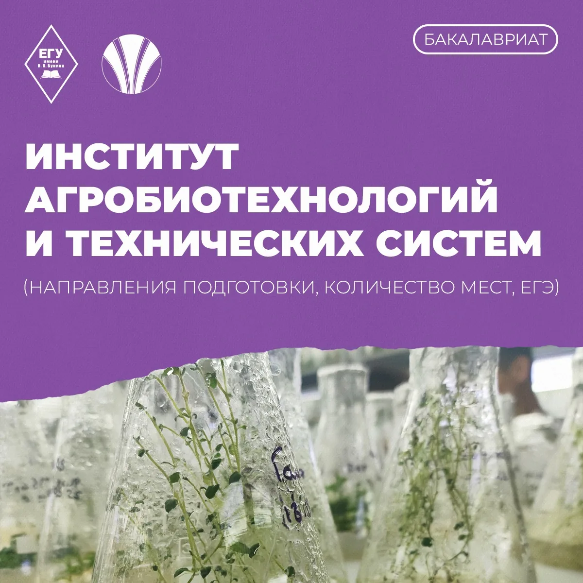 Рассказываем абитуриентам об особенностях поступления в институт агробиотехнологий и технических сис