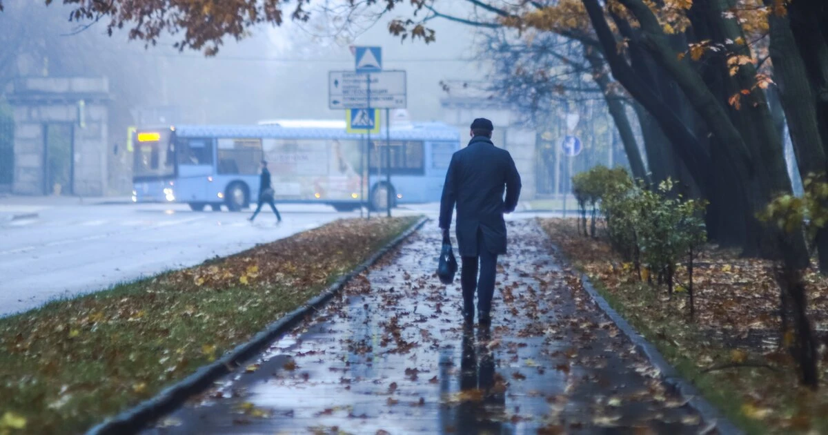 Предстоящая ночь ожидается холодной в Московском регионе