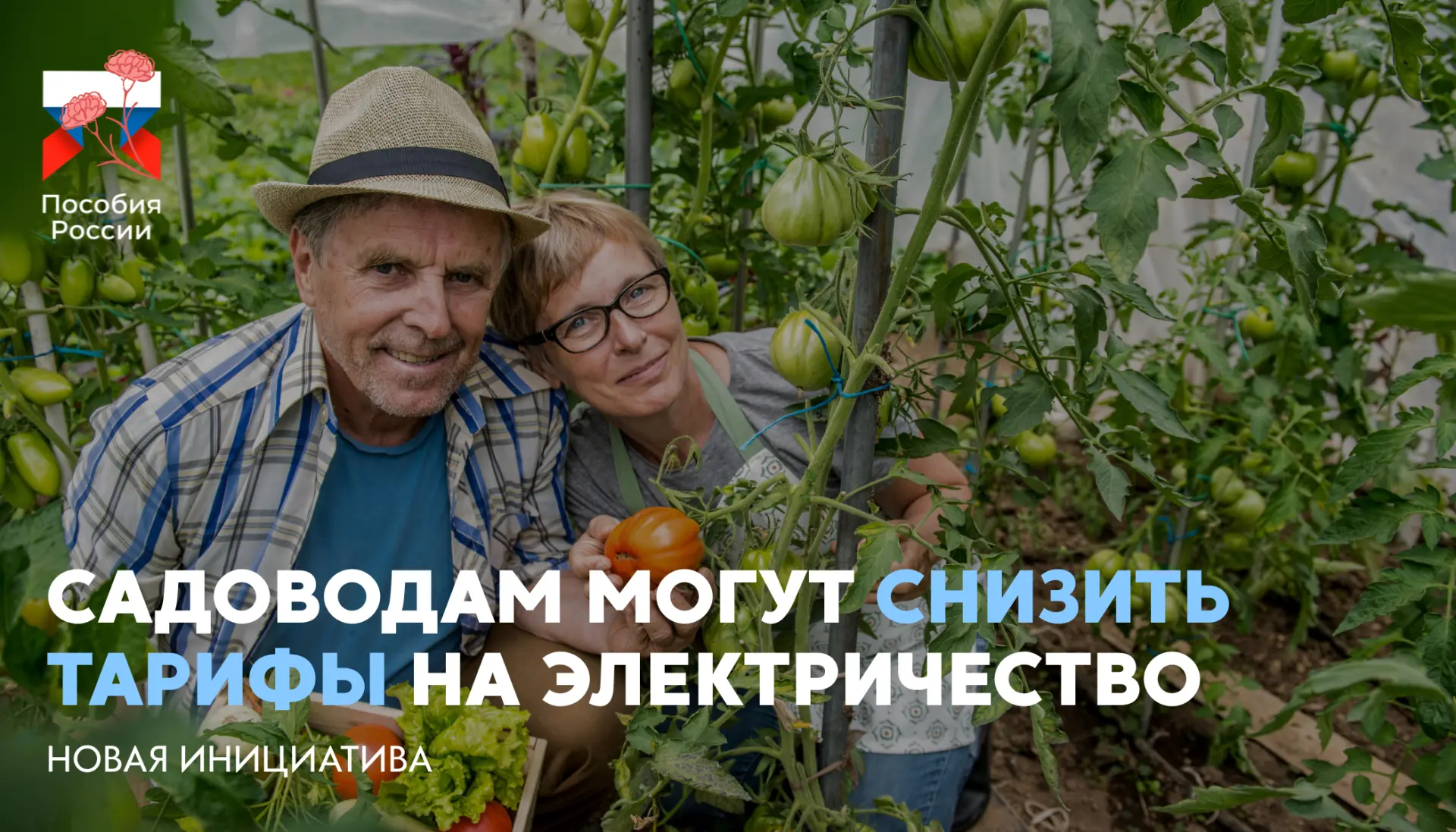 ⚡️ Садоводам могут снизить тарифы на электричество  🔵 В России предлагают ввести льготный тариф на э