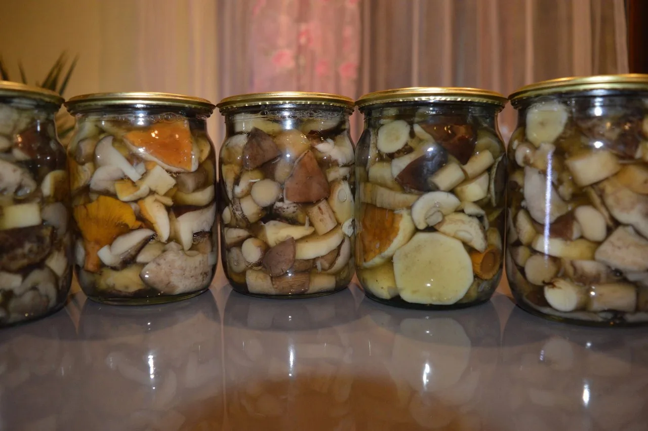 МАРИНОВАННЫЕ ПОДБЕРЁЗОВИКИ