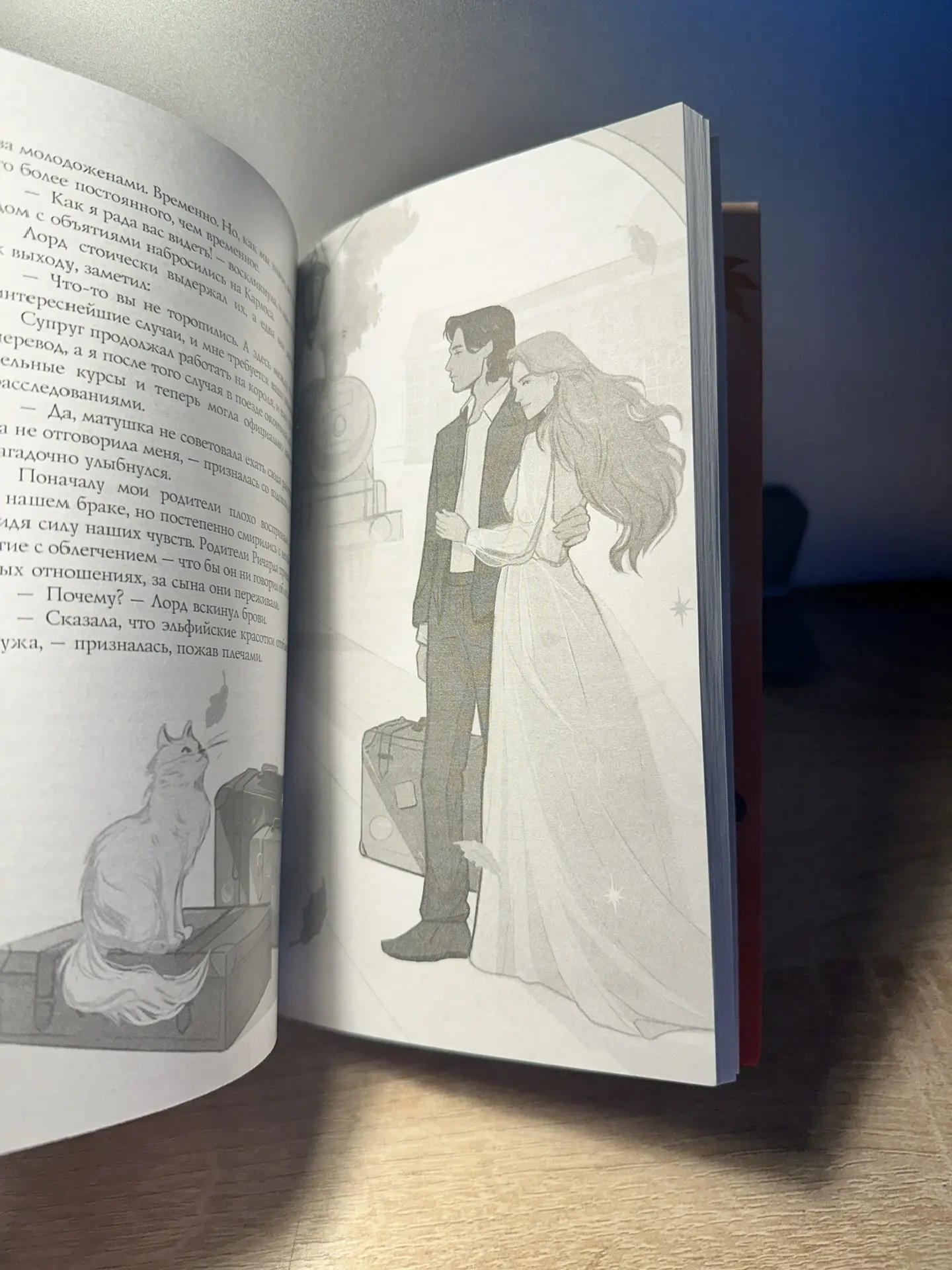 Ну а теперь внутреннее содержание  сборника «Замурчательное фэнтези» с оглавлением   и картинками к 