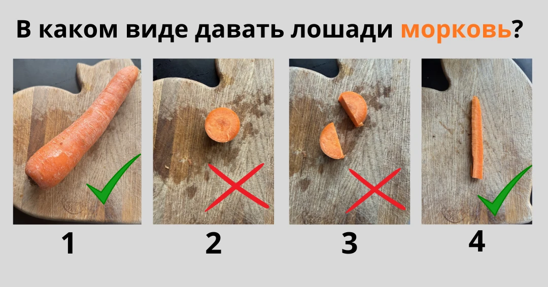 Правильные ответы - 1 и 4