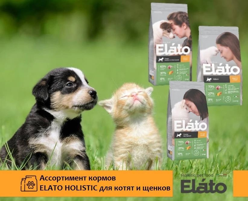 🤔В предыдущем посте мы разобрали, почему котятам и щенкам не подходят корма для взросл...