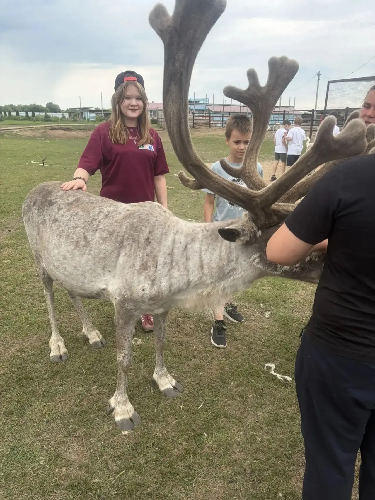 🦌ПУШИСТОЕ СЧАСТЬЕ 🦌

🤗Знаете, что такое настоящее счастье? Это когда огромный северный олень осто
