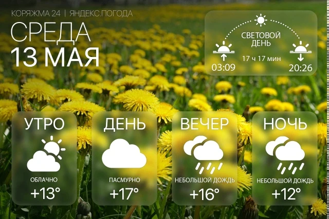 Доброе утро, Коряжма! Среда, 13 мая. Утром облачно, +13°, днём пасмурно и до +17°, вече...