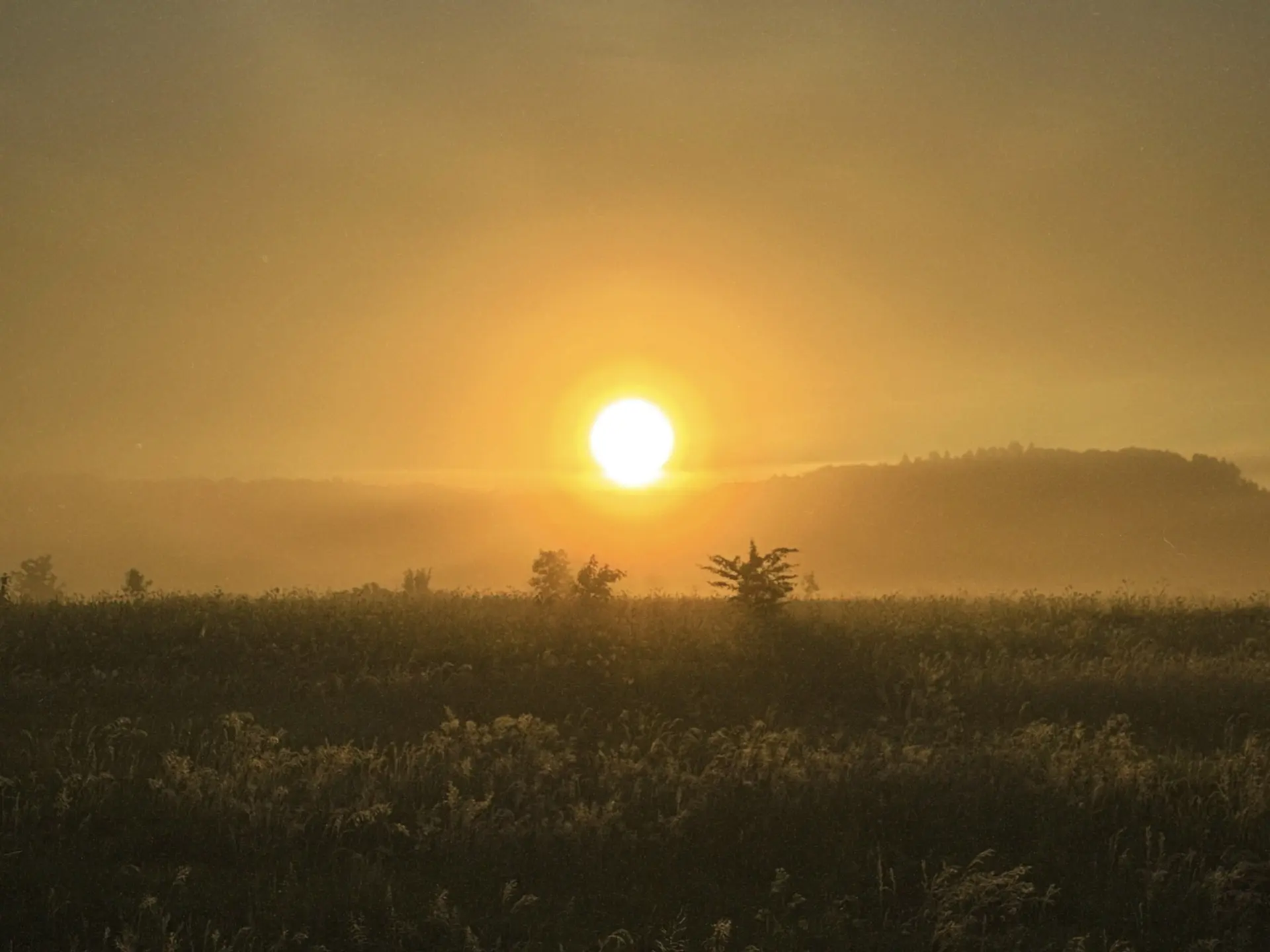 Желаем вам прекрасного вечера, друзья! 🌇✨

Отдохните от суеты и проведите время, занимаясь любимым 