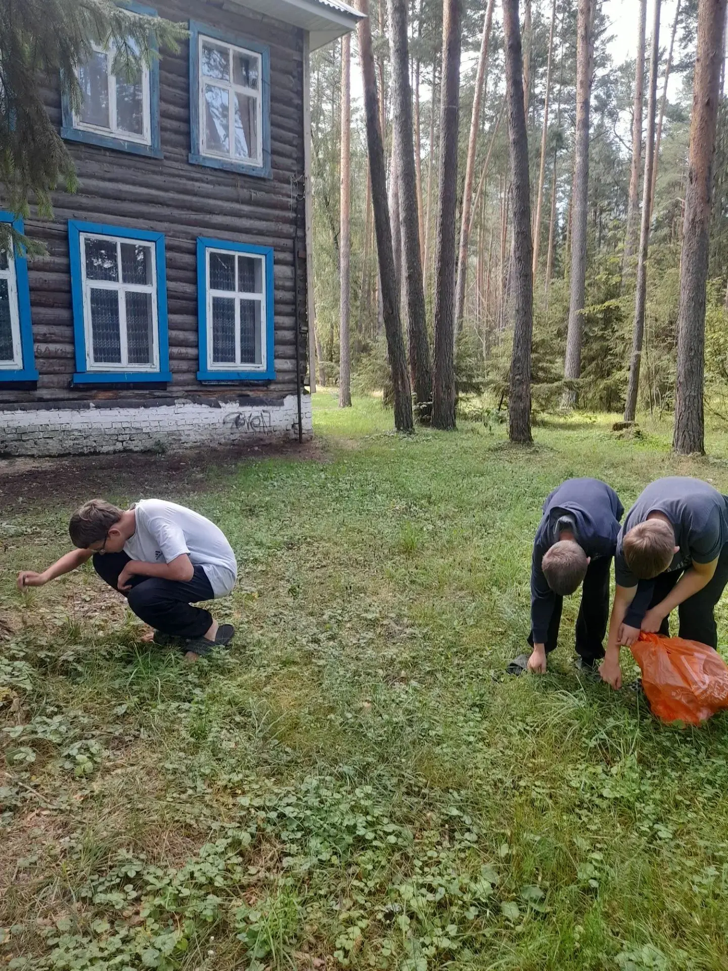Трудовые будни.
