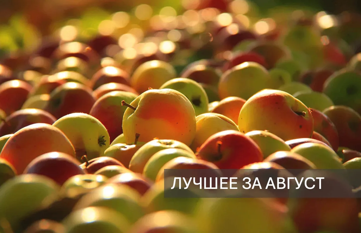 Август выдался насыщенным! Собрала всё самое важное в одном посте 🍎 🍎 🍎
