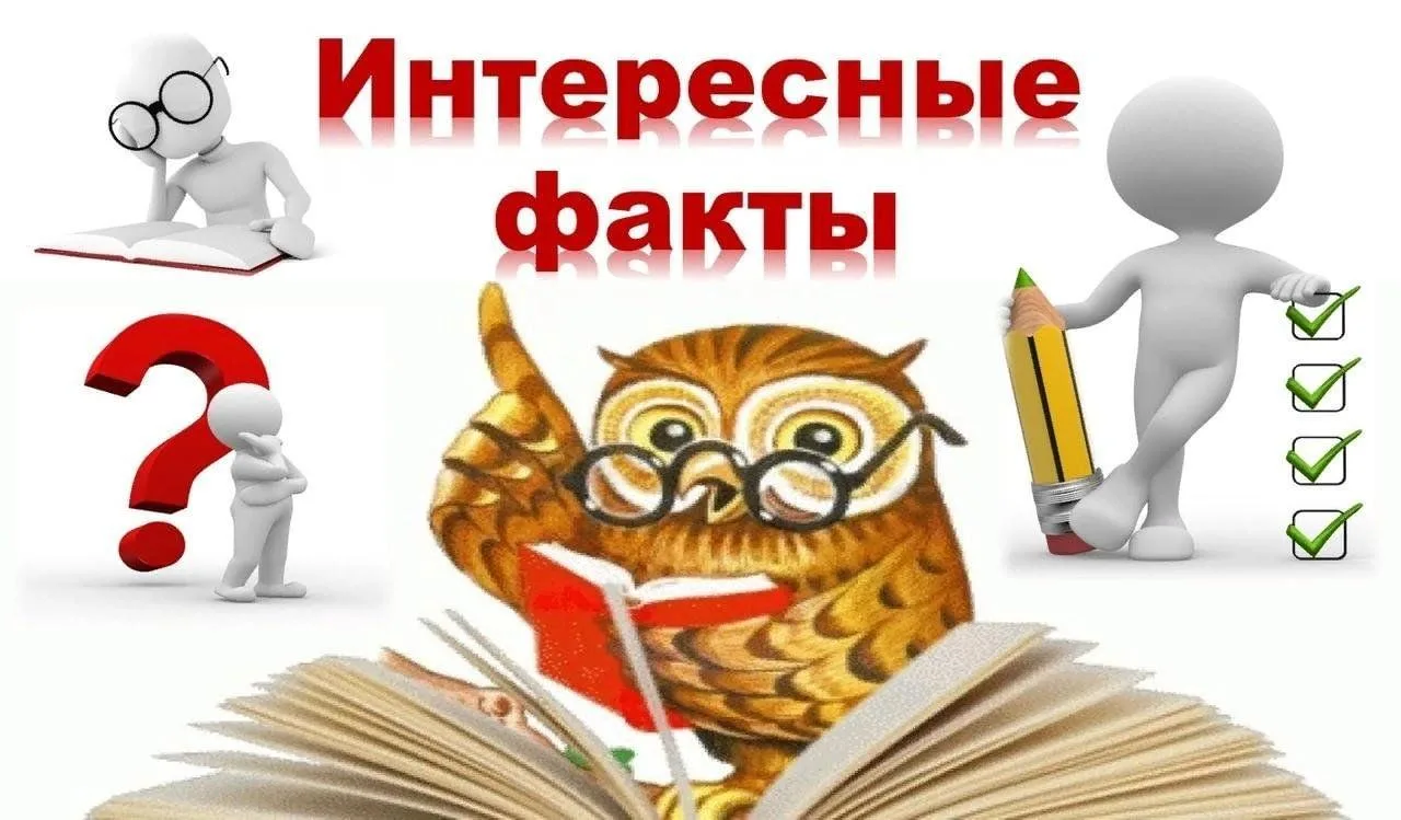 Экономика — это не только сложные теории и цифры, но и множество интересных фактов, кот...