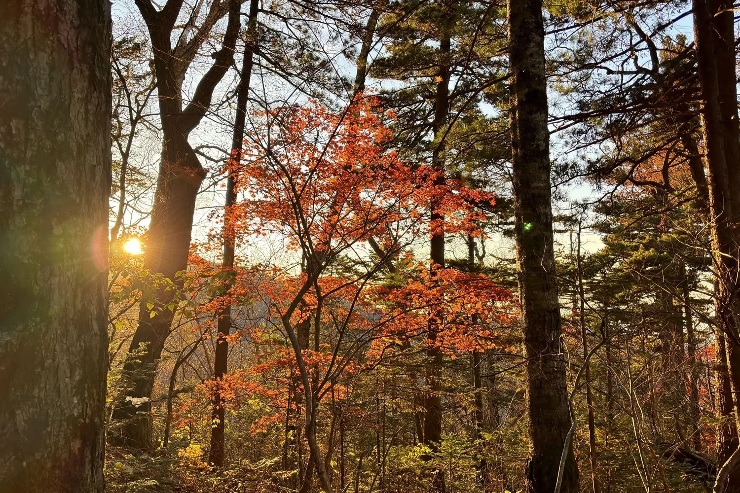 Приближается осенний пожароопасный период 🍂