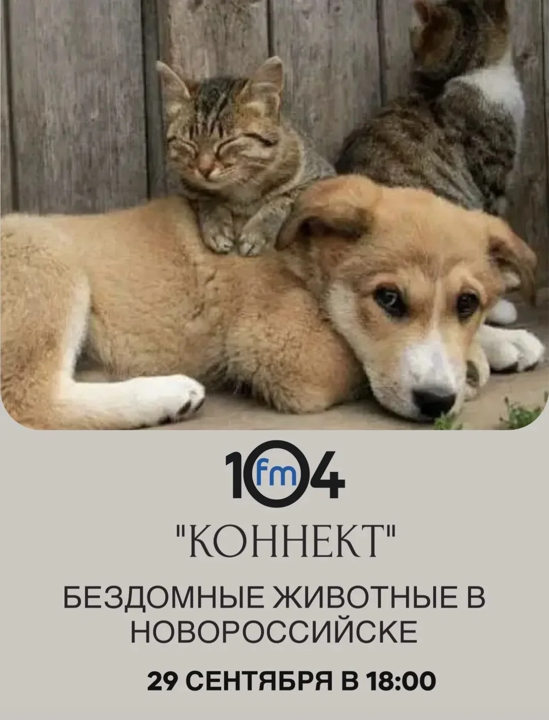 В эти осенние дни будьте ближе друг к другу и оставайтесь с нами на 104FM! 📻