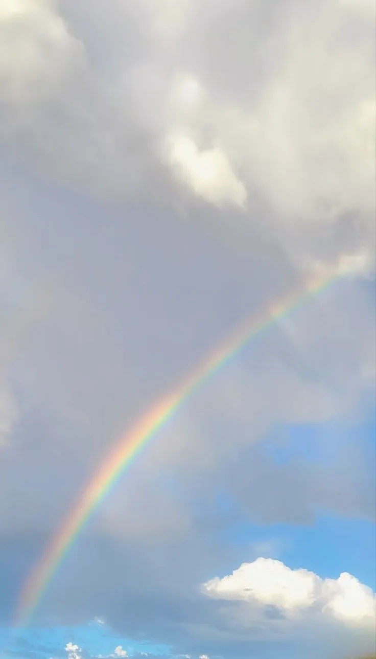 Сегодня у нас прошёл квест "Исчезновение Радуги🌈". 
Мы искали её по тайным следам, на деревьях, по 