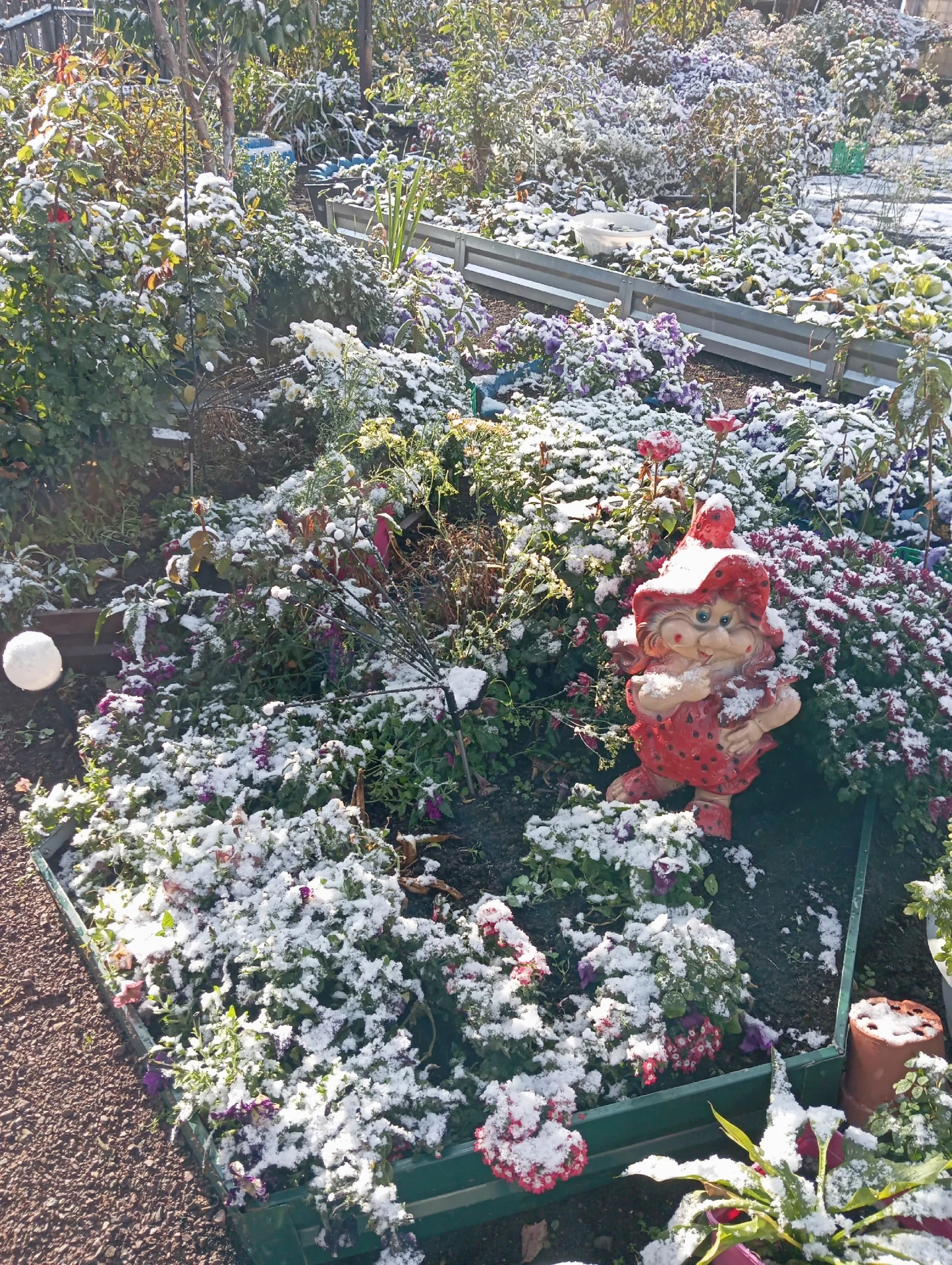 ❄️ С первым снегом, Озёрск!
