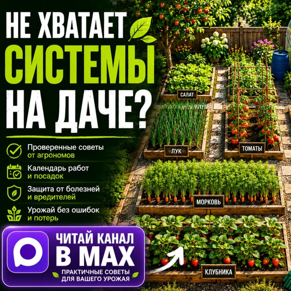 Изображение 1 к публикации «САД | ОГОРОД | ДАЧА»