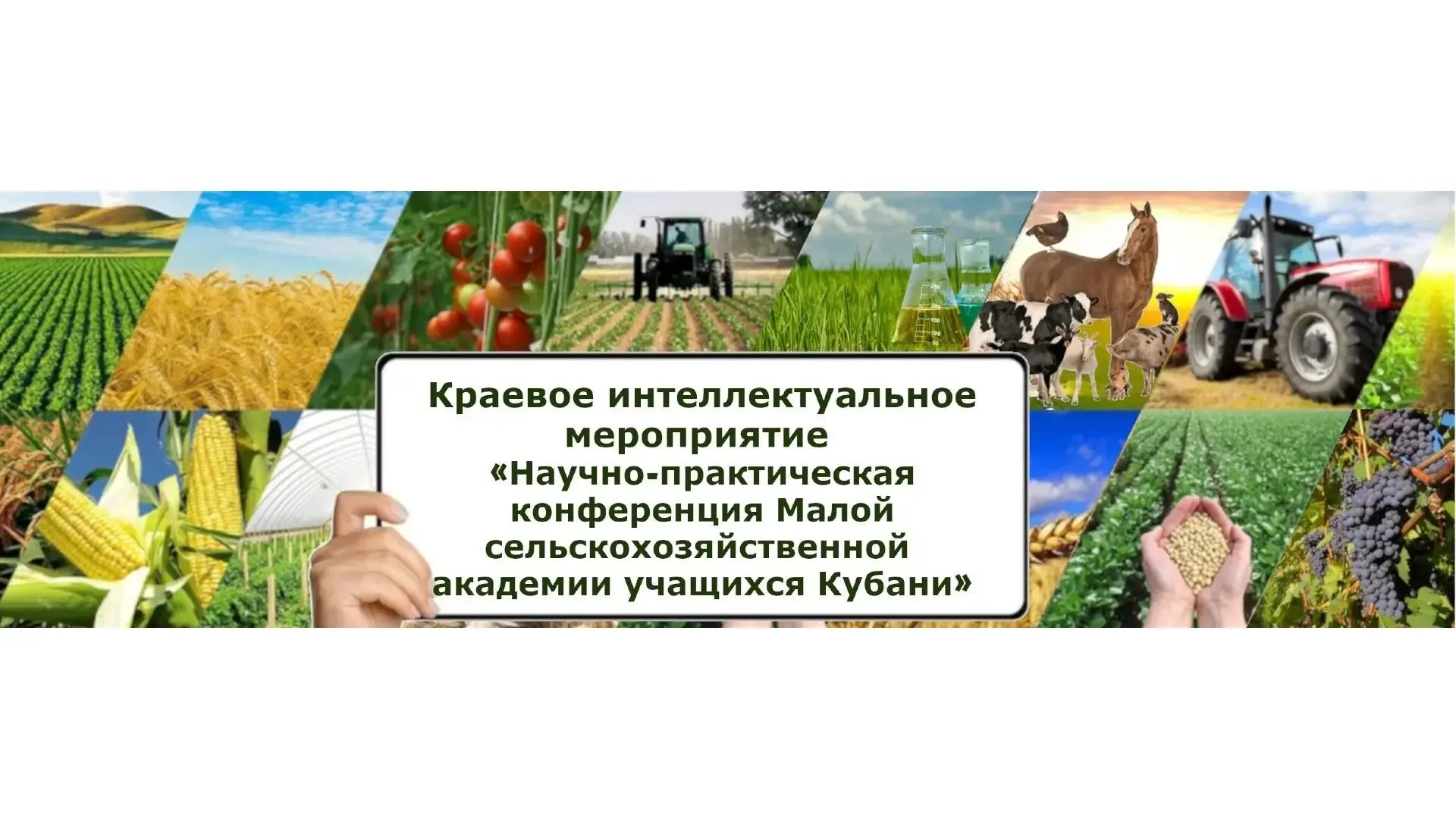 Стартует краевой этап научно‑практической конференции «Малая сельскохозяйственная акаде...