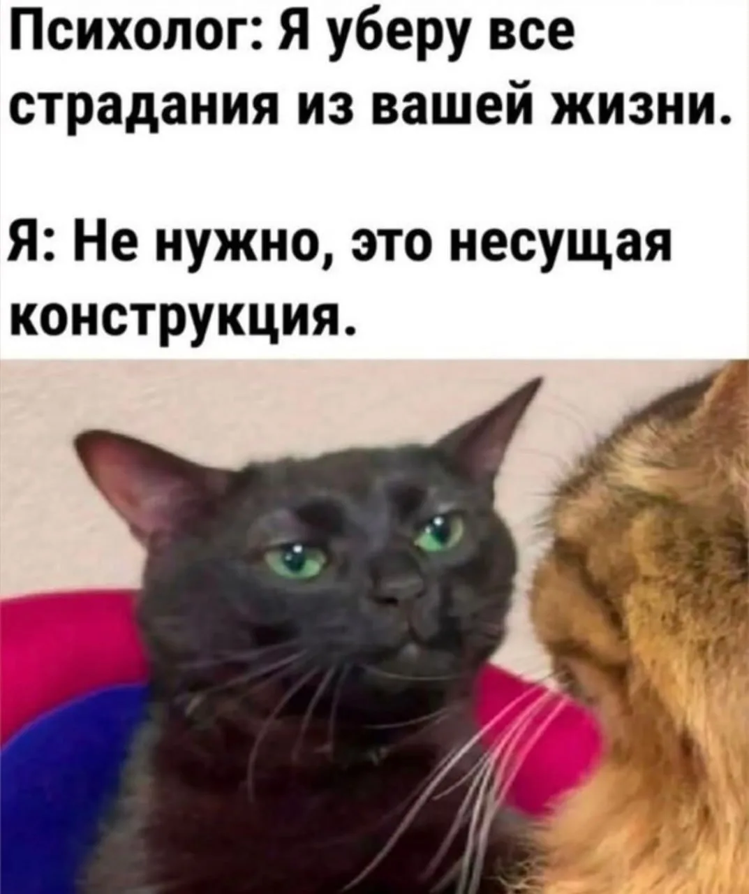 Твой путь к успеху — Подписывайся