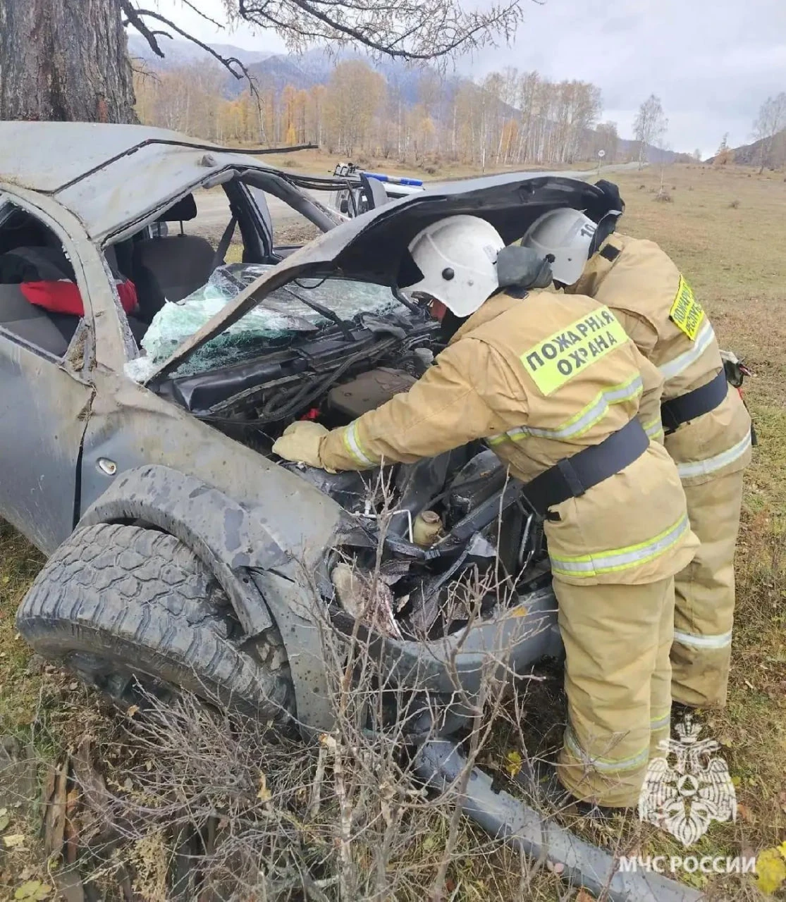 ⚠️ В Усть-Коксинском районе автомобиль опрокинулся и влетел в дерево