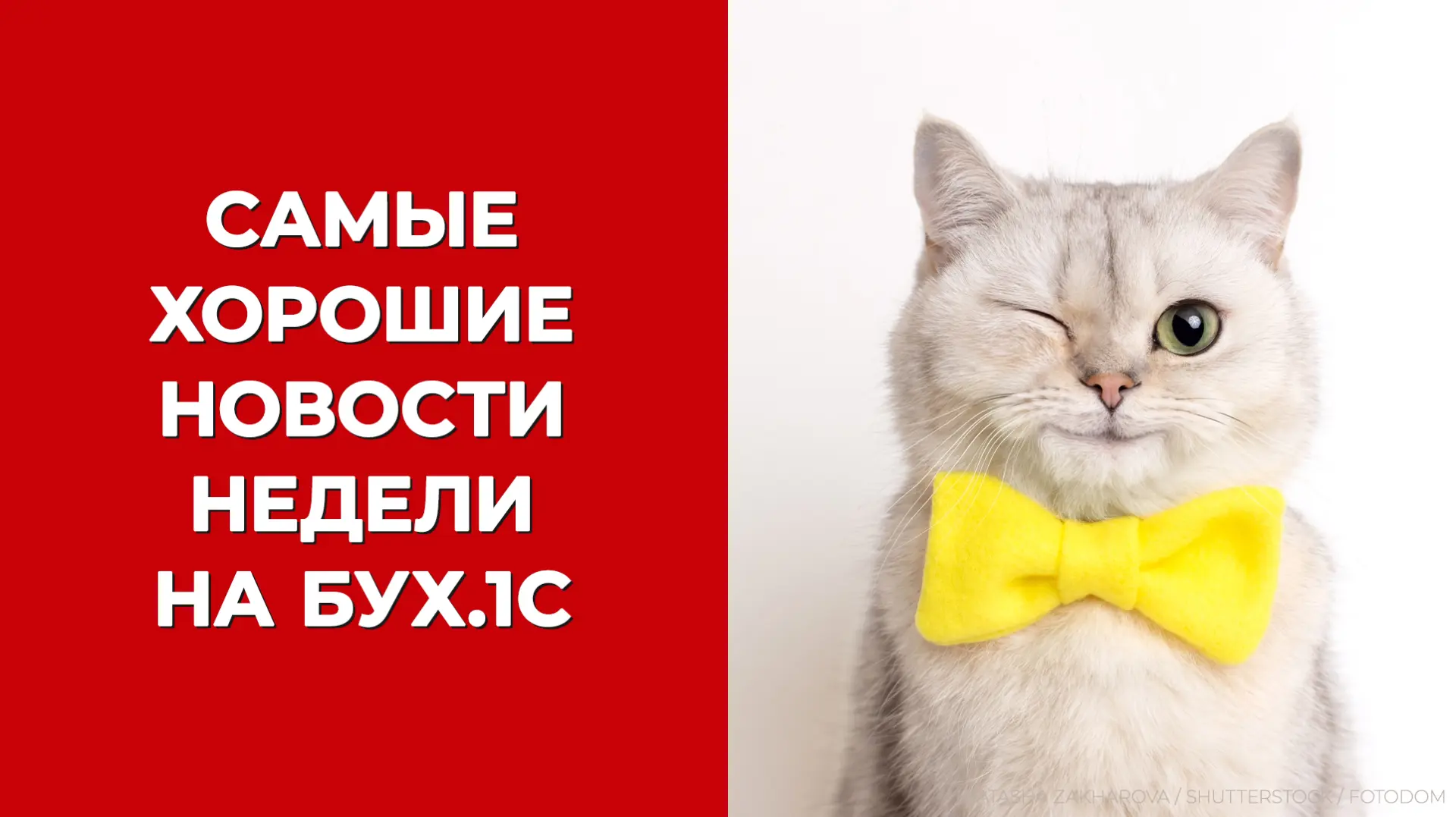 На том же месте, в тот же час — только хорошие новости недели 😉