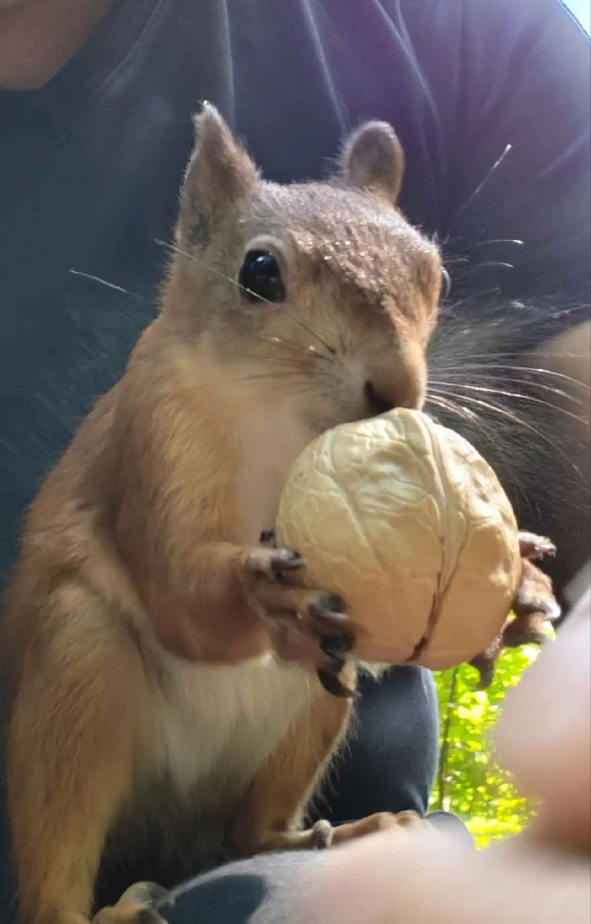 Ботаника. 🐿️