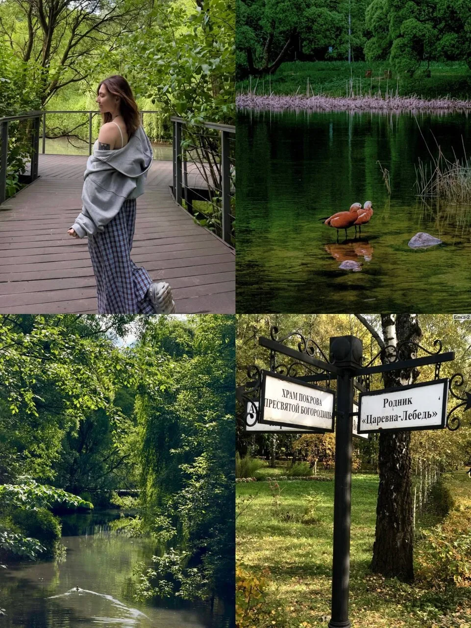 🌿 «Тропа тишины» в парке Покровское-Стрешнево — прогулка с аудиомедитациями и арт-объе...