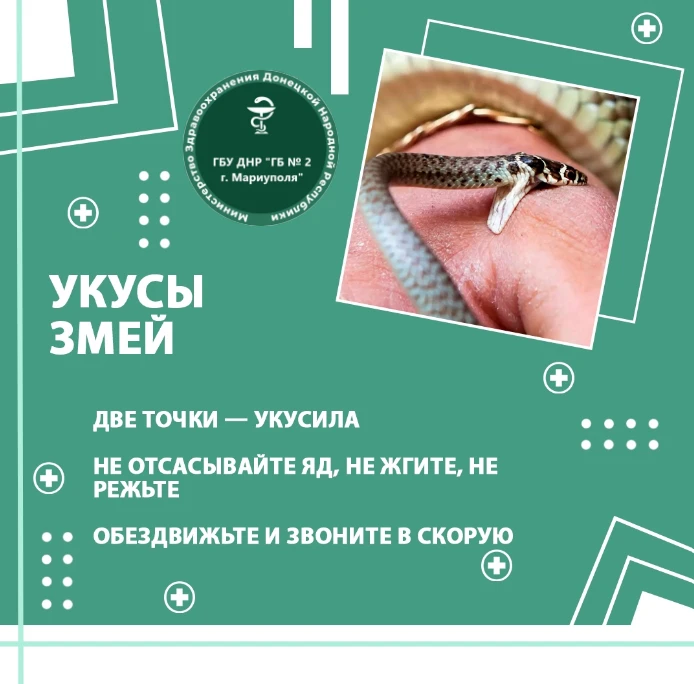 ☀🩺 Сезон и здоровье. Дважды в неделю о главном