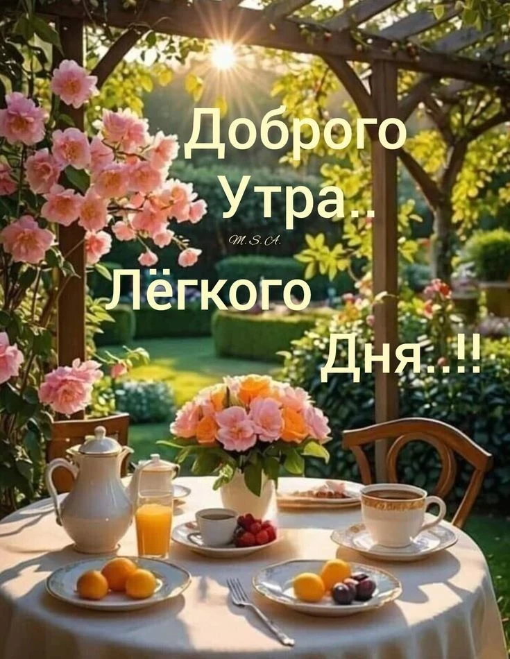 #доброеутро

Канал С добрым утром!🌷