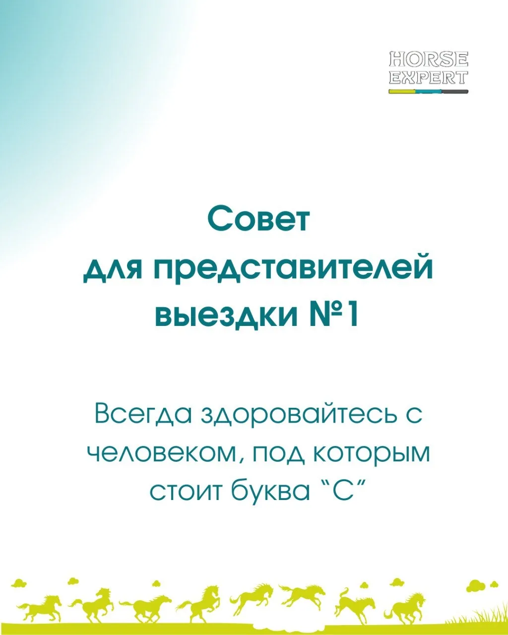 Неужели вы думали, что мы оставим представителей выездки без (бес)ценных советов? Вы пл...