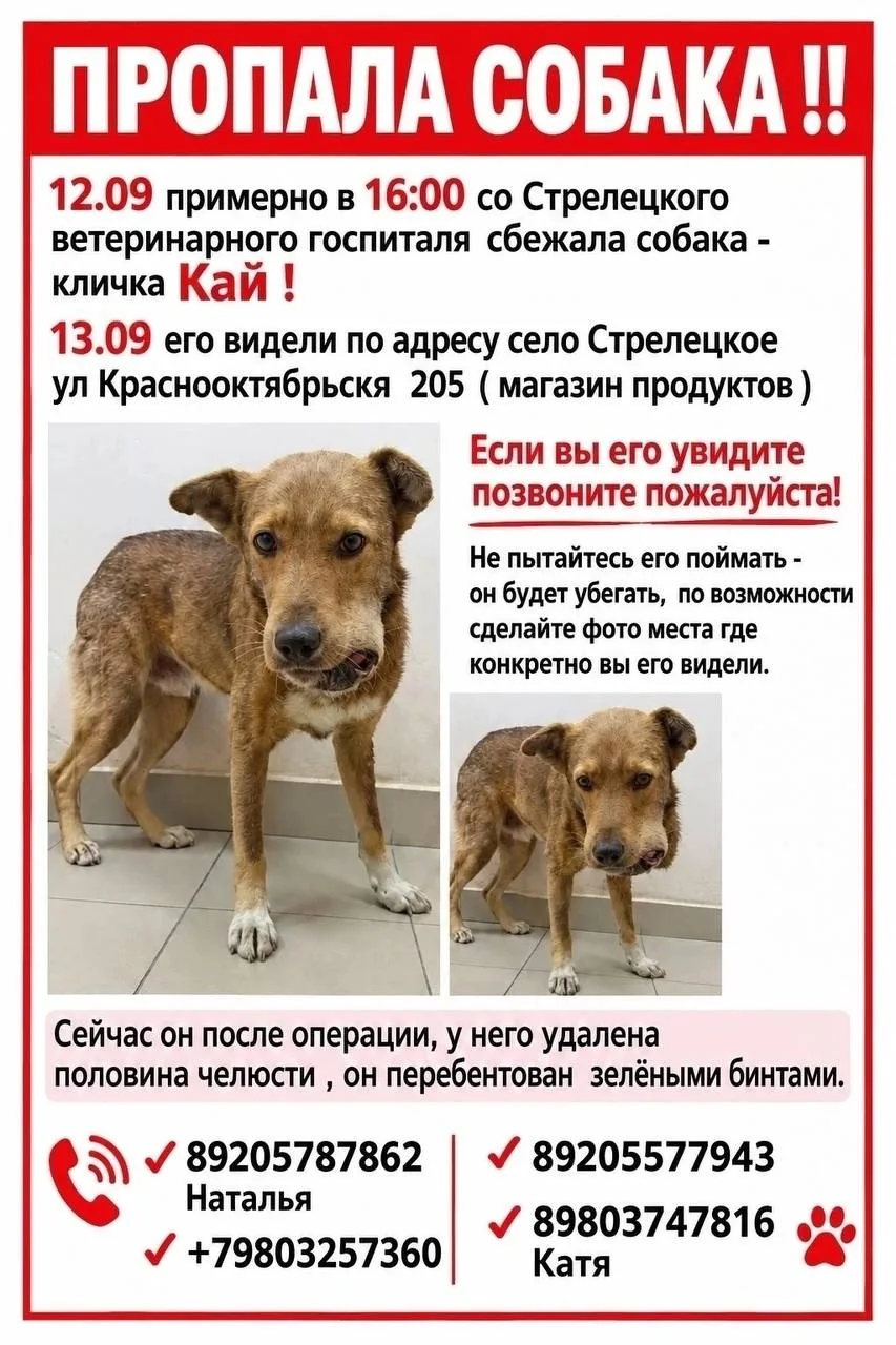 Кая нашли! ❤️