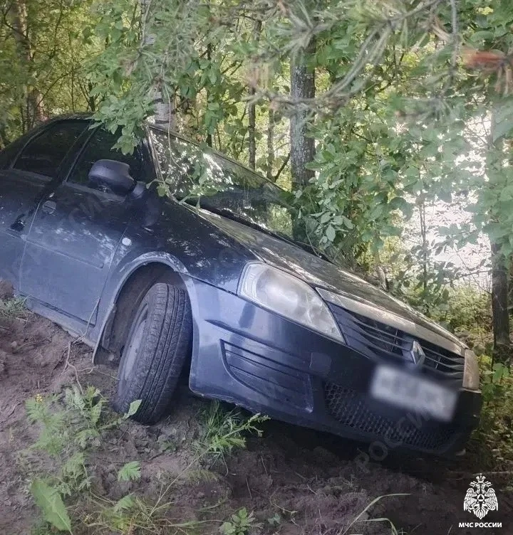 В Кондопоге автомобиль после ДТП оказался на дереве.