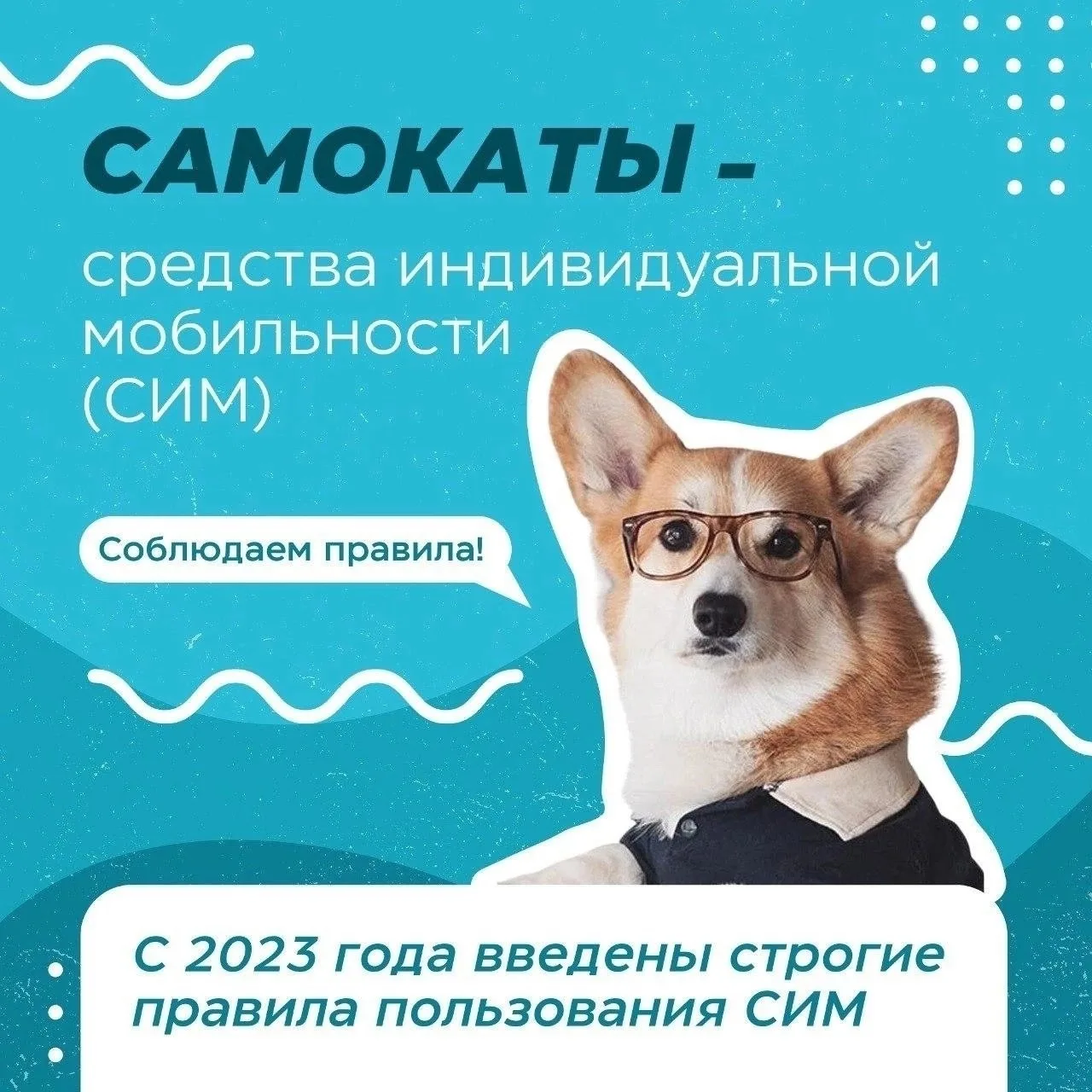 Время самокатов: ездим по правилам! 🛴 
 
Друзья, лето в самом разгаре, а это значит, что наши улицы