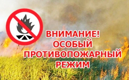 В Сочи действует особый противопожарный режим