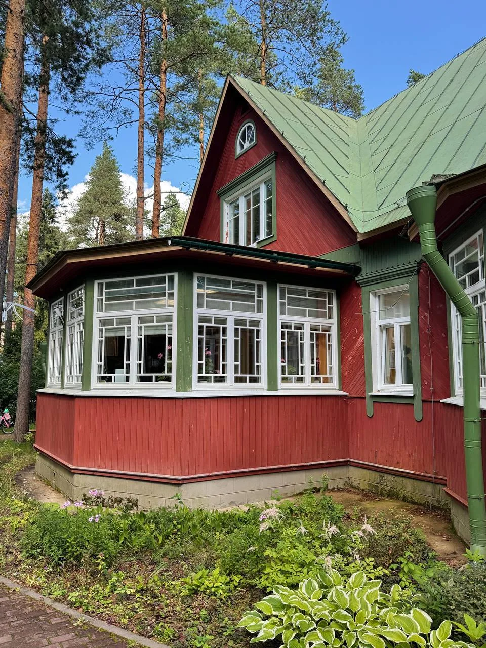 Комарово: библиотека, экотропа и гриль-чизы с лисичками 🌲 🍄‍🟫