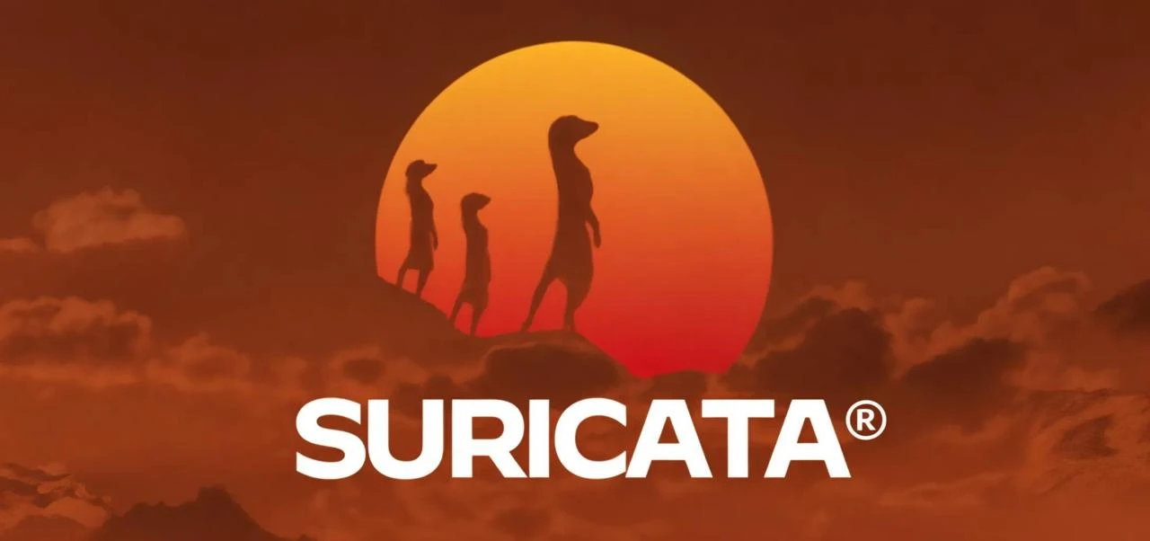 Suricata — это IDS/IPS-движок с уклоном в хардкор.  Зачем нужно: режет трафик на куски, палит подозр