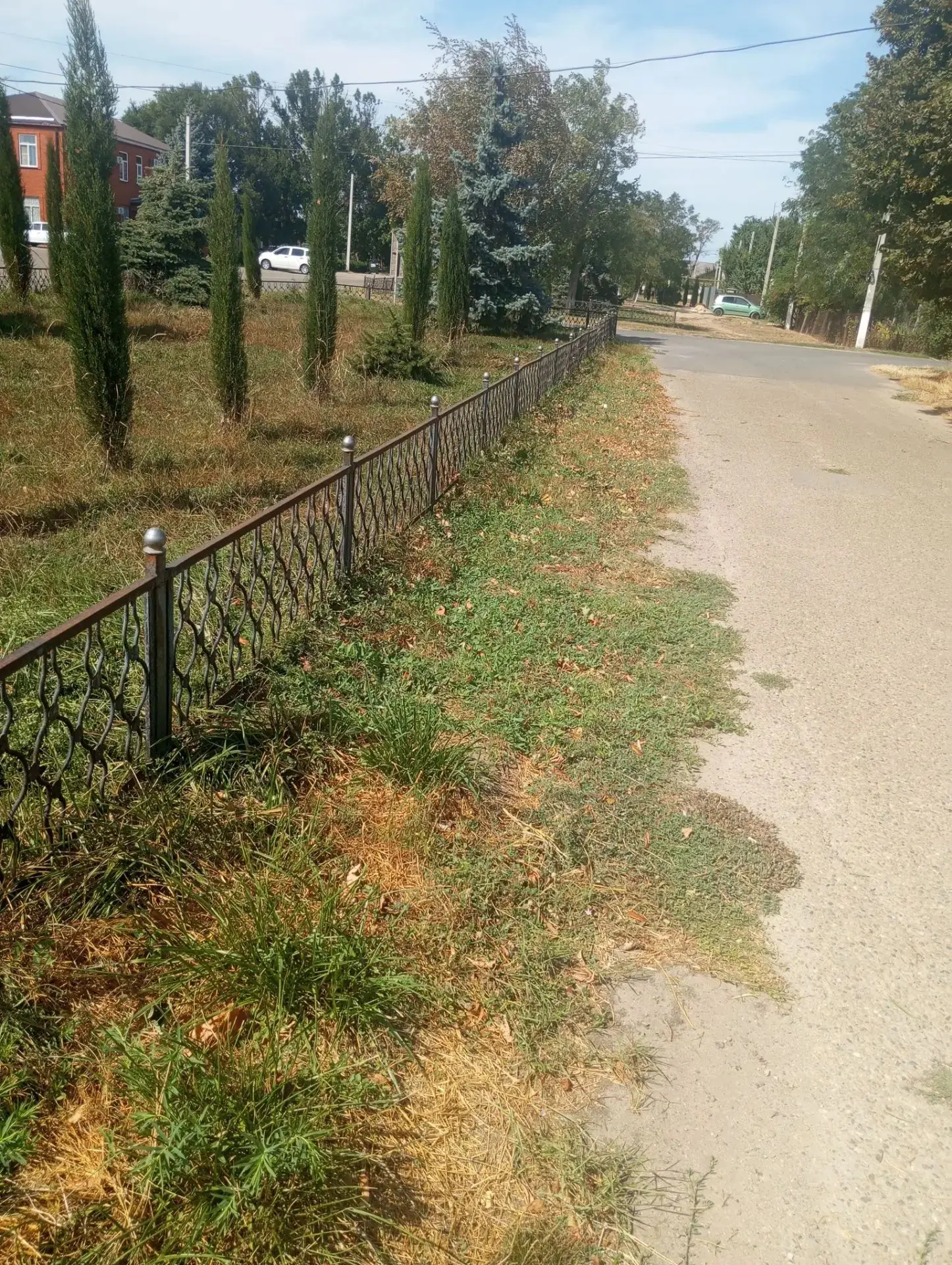 Покос сорной растительности на улице Гагарина в посёлке Прогресс.