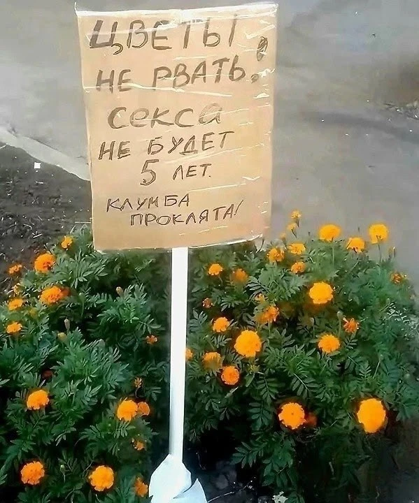 Хороший метод для защиты клумб 😅