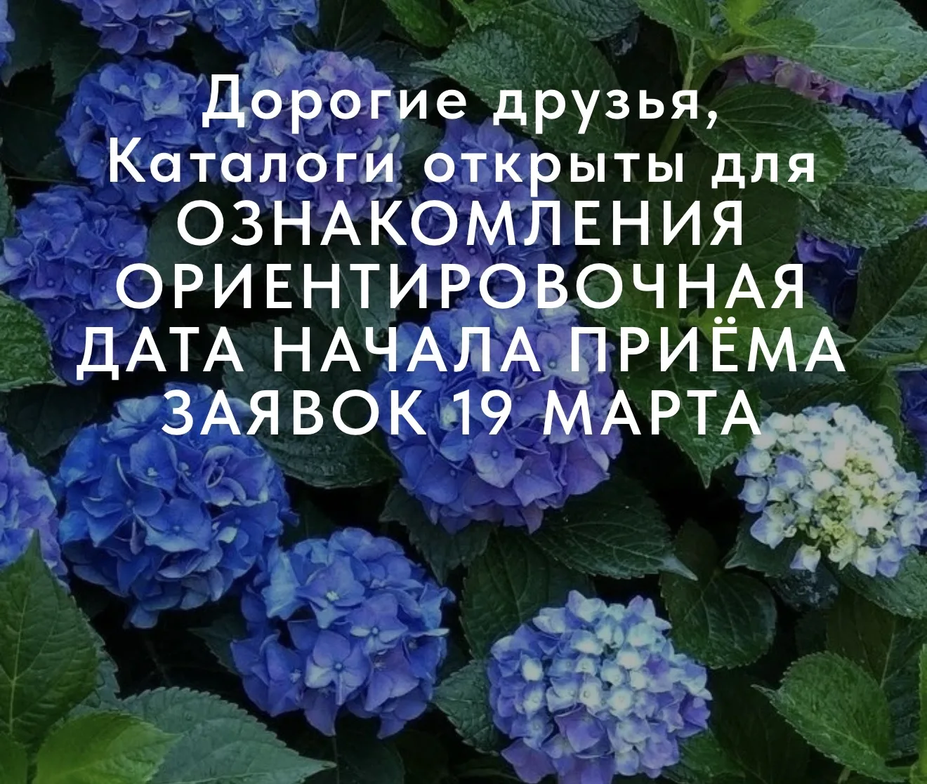 🔥Долгожданная новость🔥  🔔Друзья, на сайте ОТКРЫЛА КАТАЛОГИ ДЛЯ ОЗНАКОМЛЕНИЯ‼️   Можете уже переходит