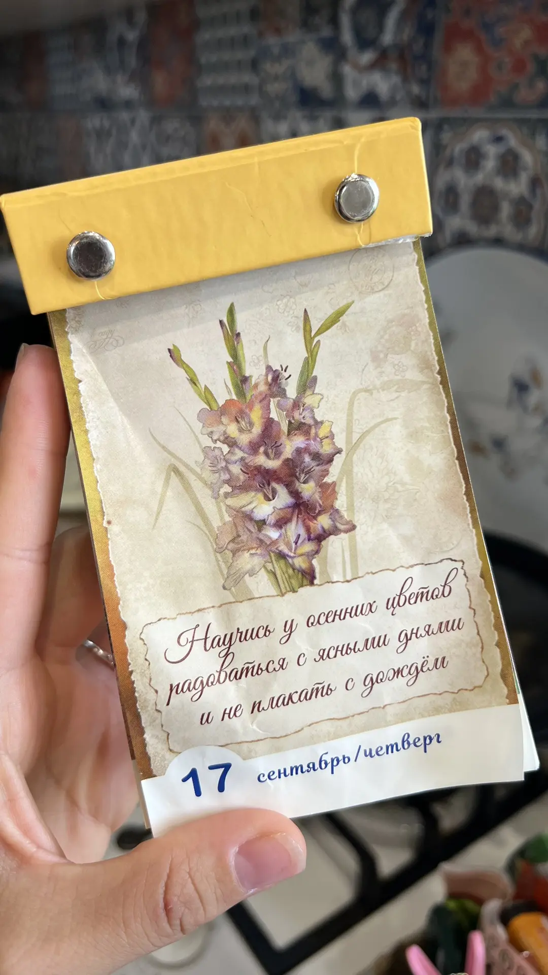 Доброе утро, дорогие-любимые! 🌞 Продолжаю осеннюю уборку дома от летней пыли. В планах...