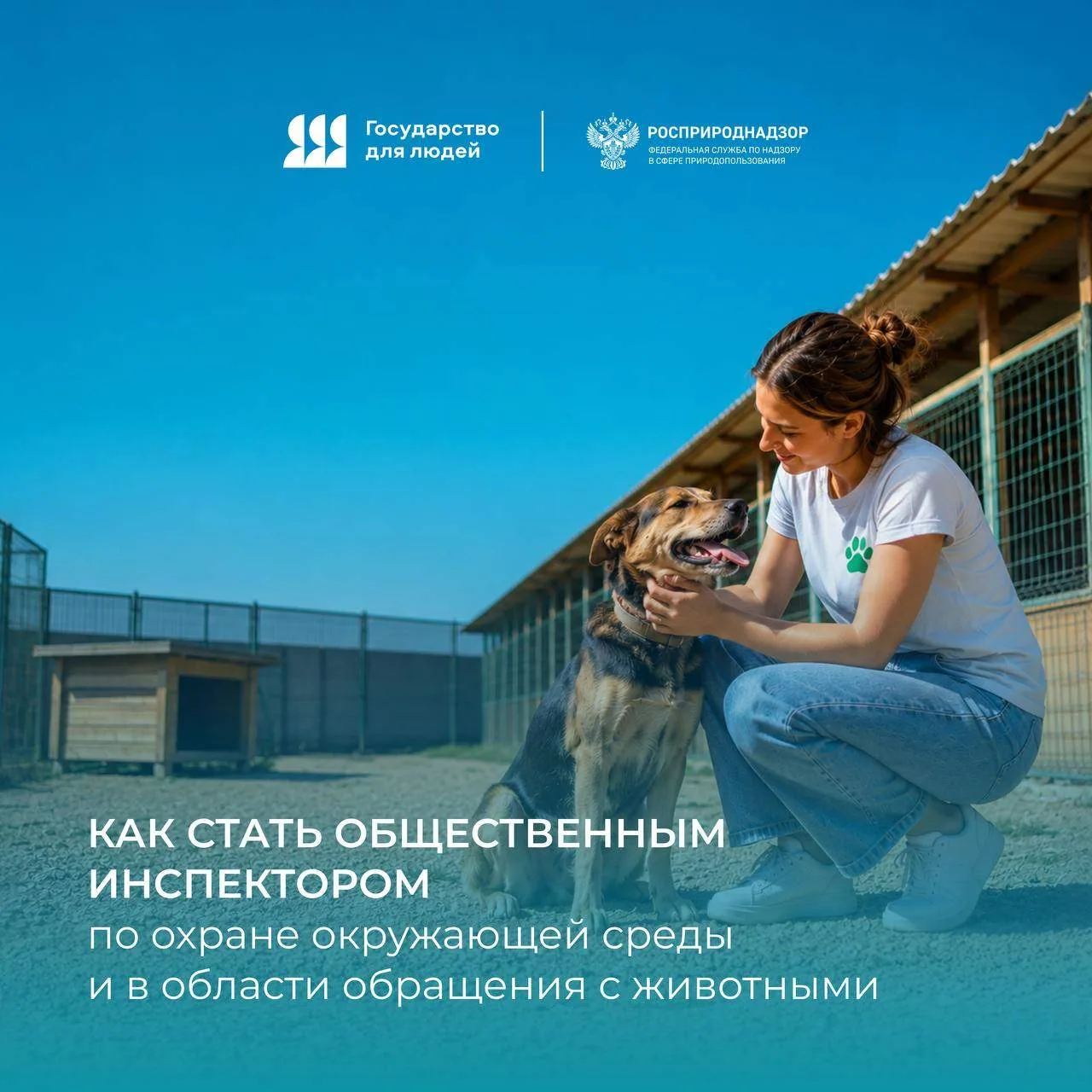 Как помогать животным и защищать природу: рассказываем про статус общественного инспектора