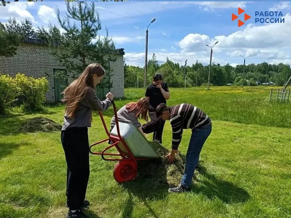 🌾Лето — время не только для отдыха, но и для первого трудового опыта! 

💪В Тверской области более 