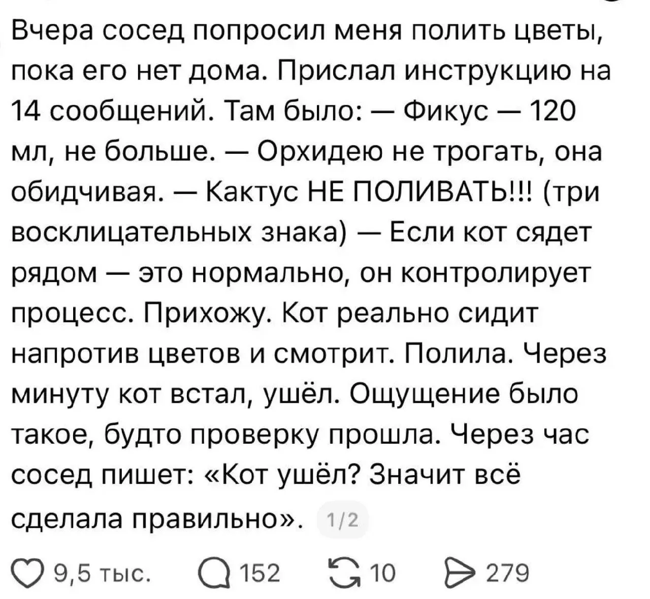 🐾Лично мне проще кормить чужого кота и убирать за ним, чем поливать цветы по инструкции 🤣 Но если 