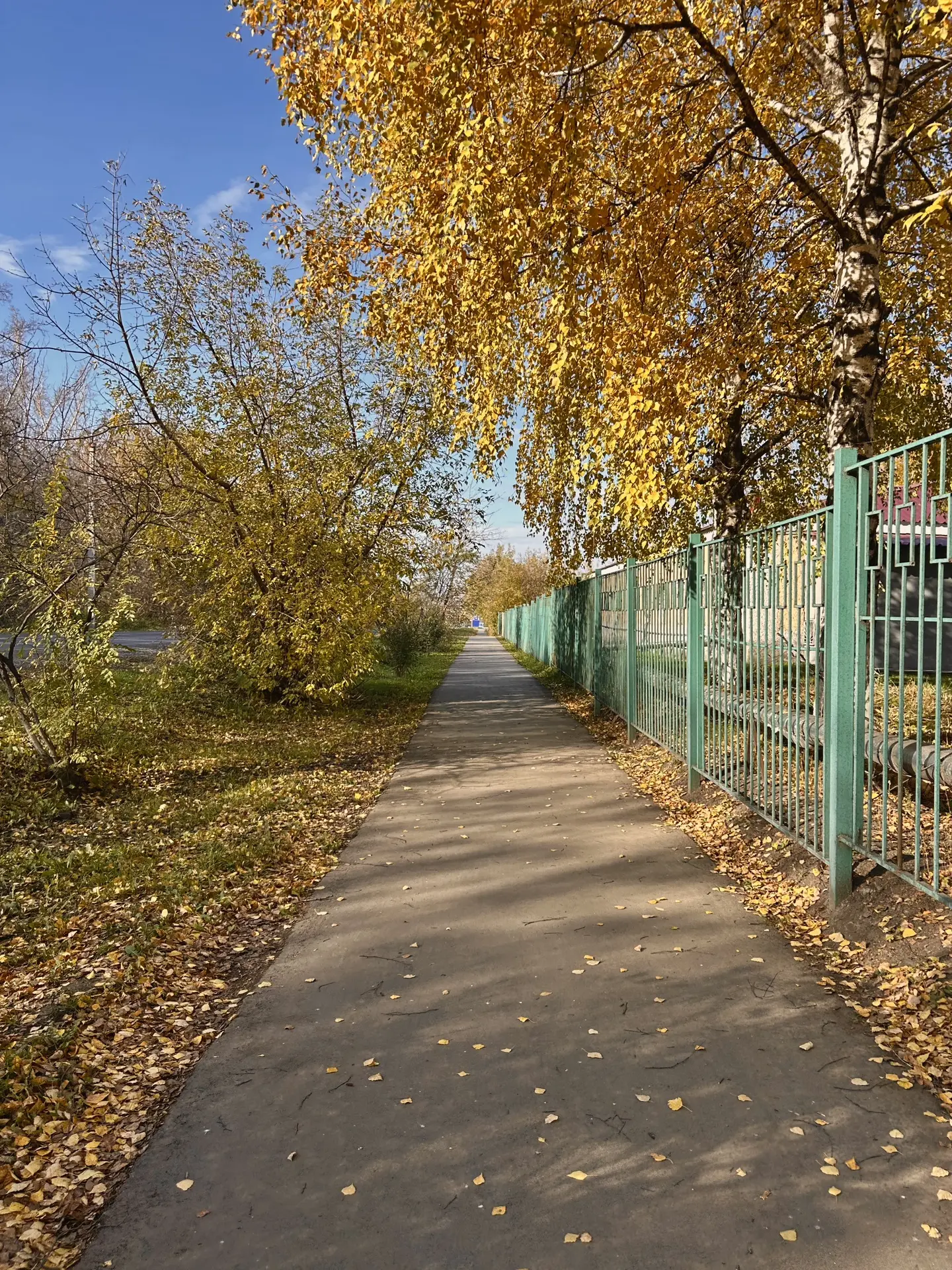 Неожиданно осень стала очень красивой 🍂✨