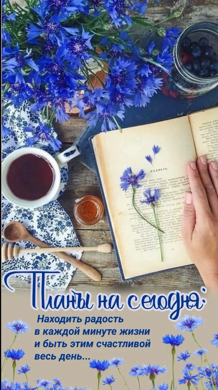 https://max.ru/invista123456