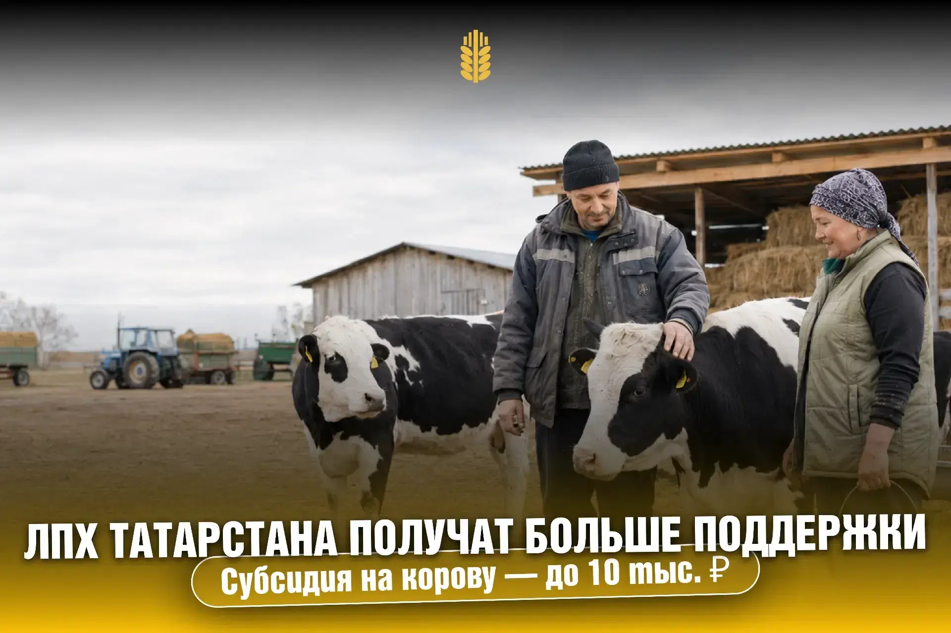 В Татарстане усиливается поддержка личных подсобных хозяйств!