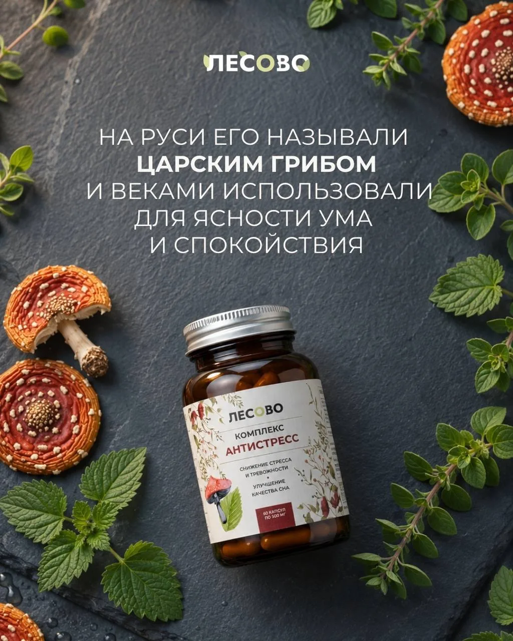 Нас всю жизнь обманывали про мухоморы🍄