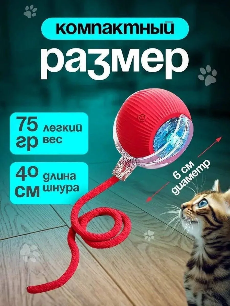 https://vk.com/photo-184814919_492982802