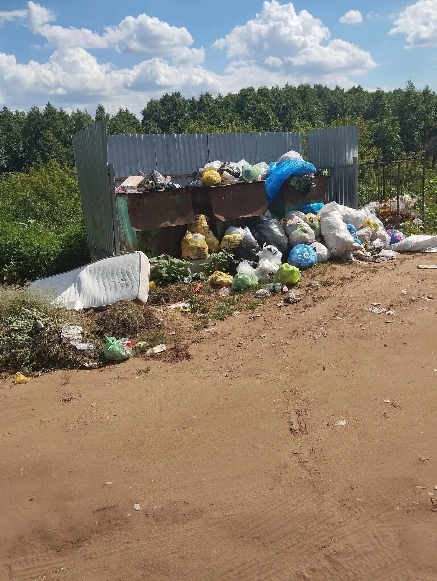 Борчане, мусор не вывозится, регоператор "Экология" не выполняет свои обязанности в наш...